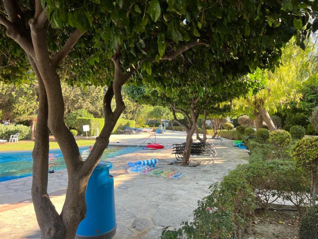 Cozy Apartment In Paphos Beautiful Complex Exteriör bild