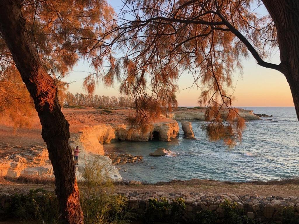 Cozy Apartment In Paphos Beautiful Complex Exteriör bild